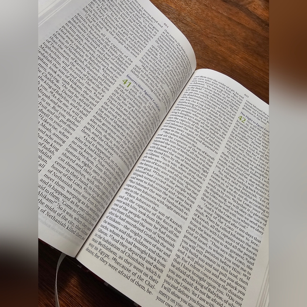 Color Code Bible - Picture 2 of 5